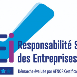 RSEI Responsabilité Sociétale des entreprises niveau confirmé